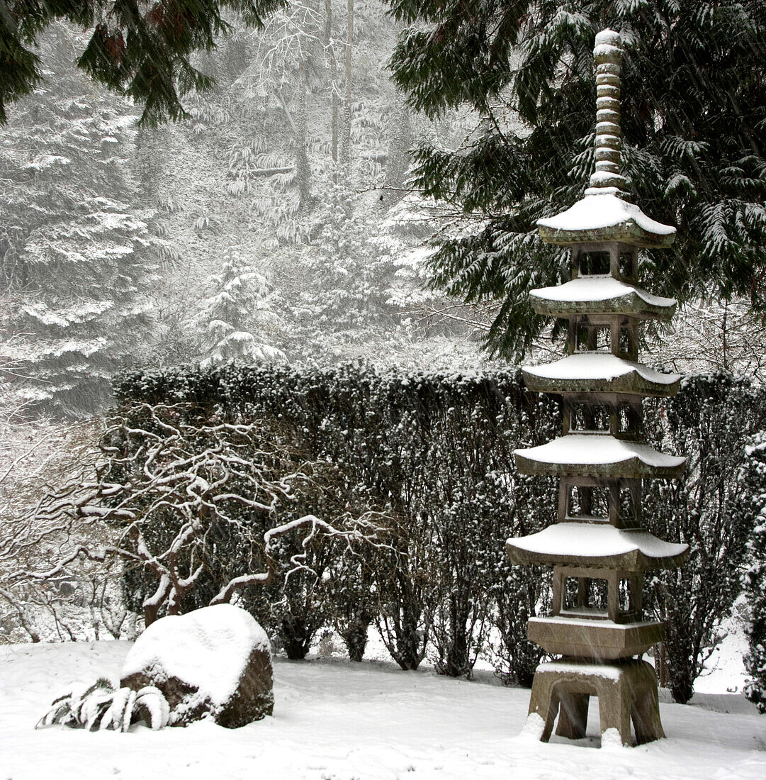 Schneefall in Portland Japanese Garden, Portland, Oregon, USA
