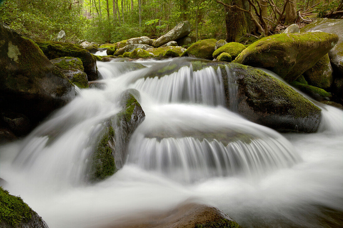 Roaring Fork, Roaring Fork Motor Nature Trail, Great Smoky Mountains National Park, Tennessee