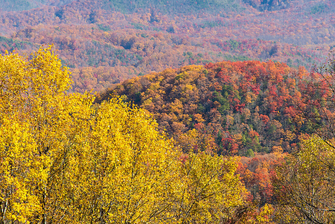 USA, Tennessee. Herbstfarben Smoky Mountain National Park vom Maloney Overlook an der Little River Road