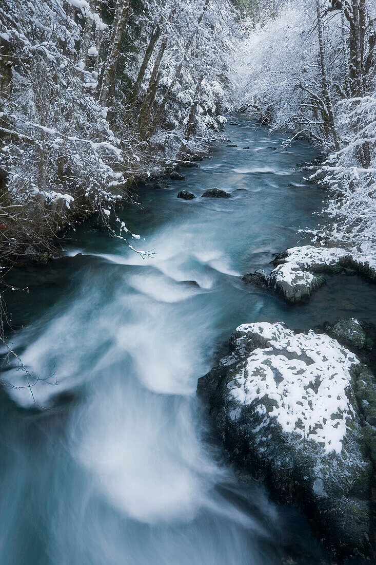 VEREINIGTE STAATEN VON AMERIKA; Washington; Olympic Nationalpark. Blick auf den Fluss Hamma Hamma im Winter