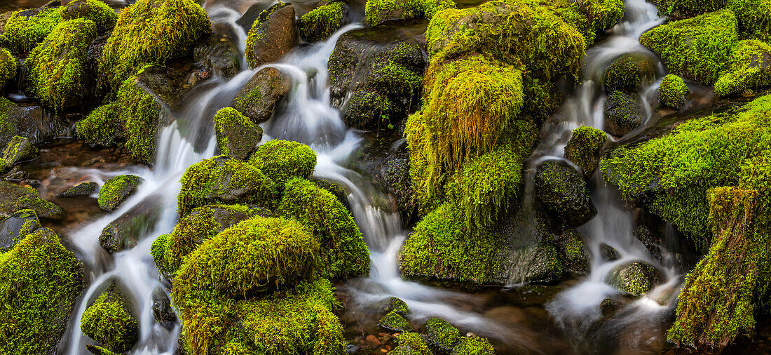 USA, Staat Washington, Olympic-Nationalpark. Cedar Creek landschaftlich