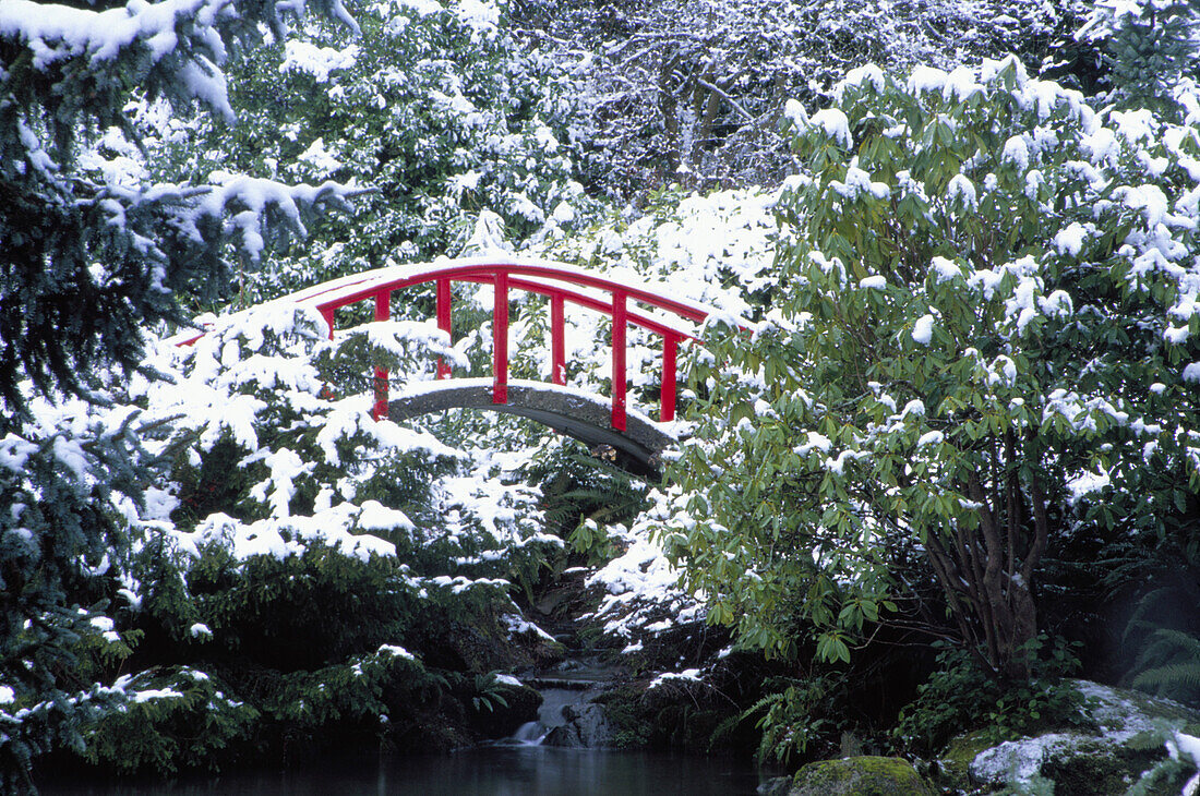 Nordamerika, USA, Washington, Seattle. Mondbrücke in Kabota Gardens im Winter.