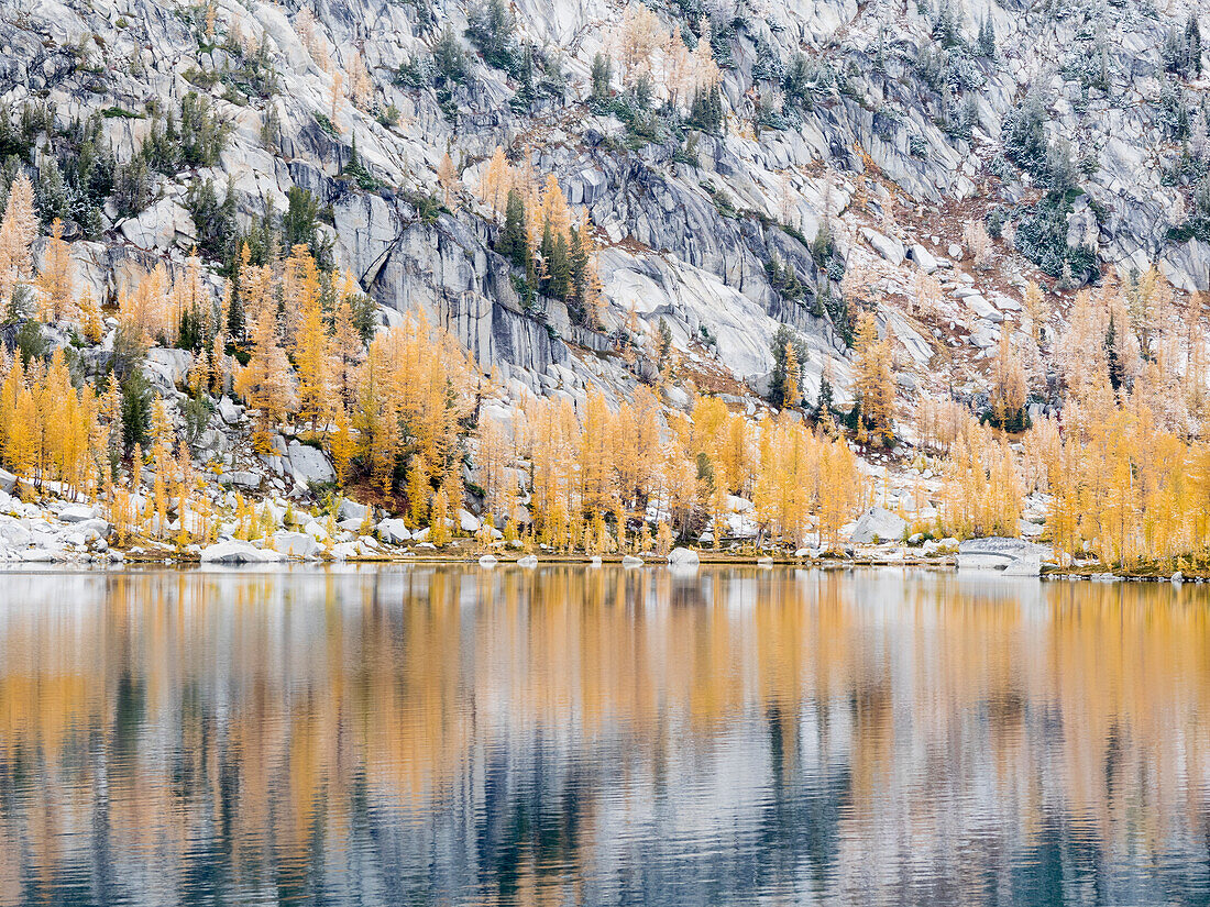 Bundesstaat Washington, Alpenseen-Wildnis. Enchantment Lakes, goldene Lärchen, die sich im Perfection Lake spiegeln