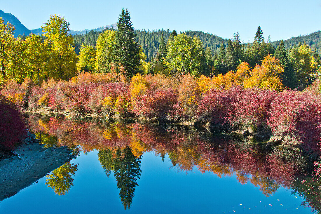 Autumn color, White River, Wenatchee National Forest, Washington State, USA