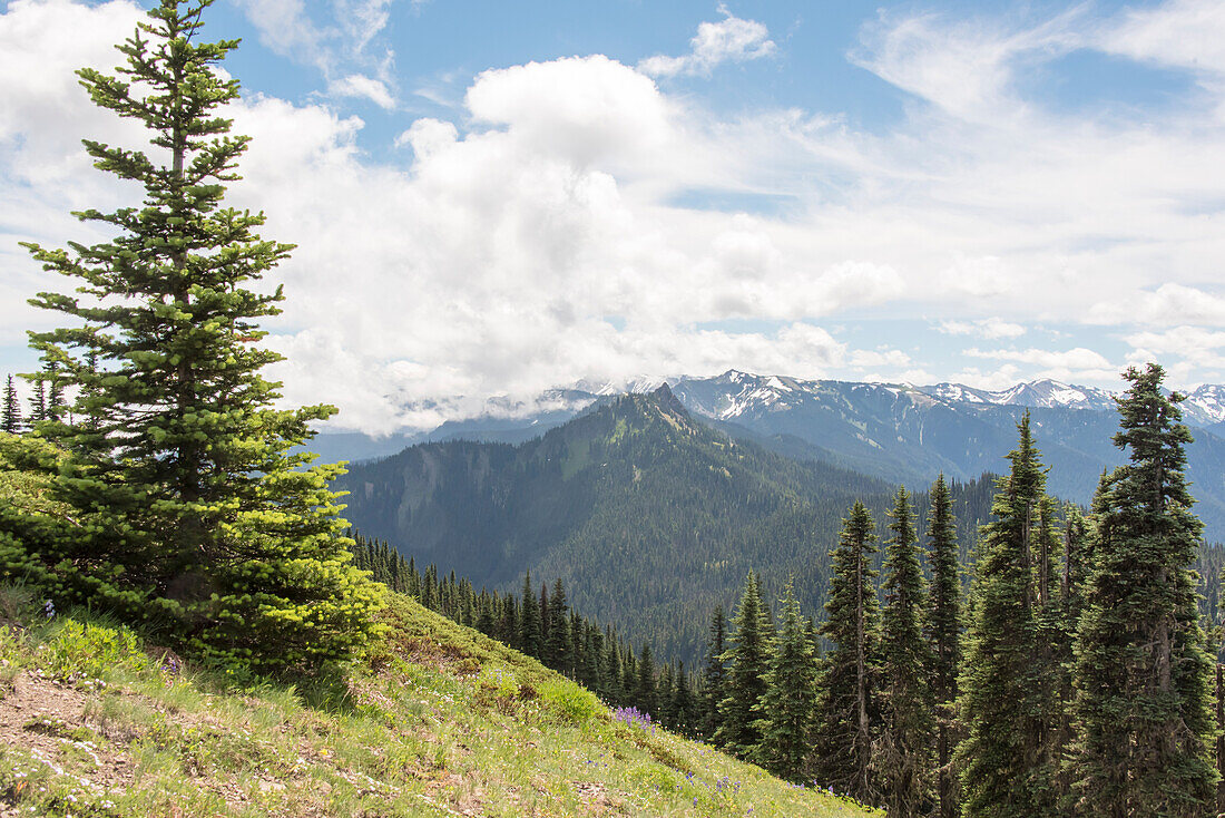 USA, Washington State, Olympic National Park Steeple Rock from Klahhane Ridge trail Olympic National Park