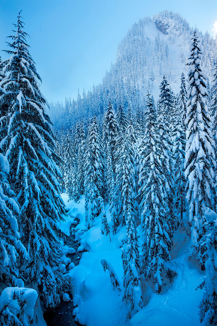 Winterliche Berglandschaft am Snoqualmie Pass, US-Bundesstaat Washington