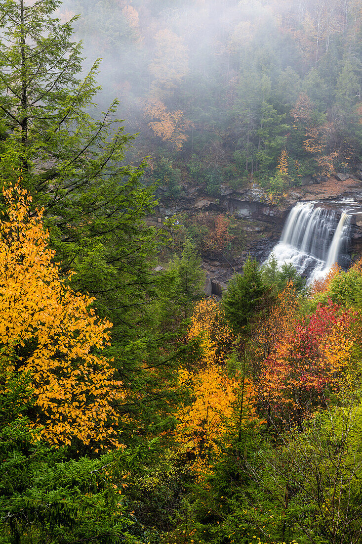 Blackwater Falls in autumn in Blackwater Falls State Park in Davis, West Virginia, USA