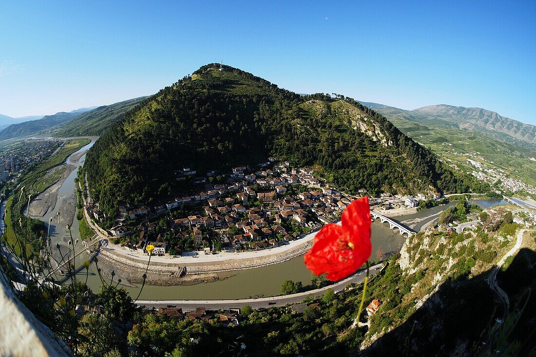 Blick vom Burgberg, UNESCO-Weltkulturort Berat, Albanien