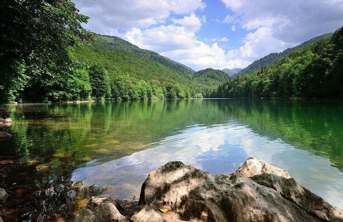 Im Biogradska Nationalpark, Montenegro