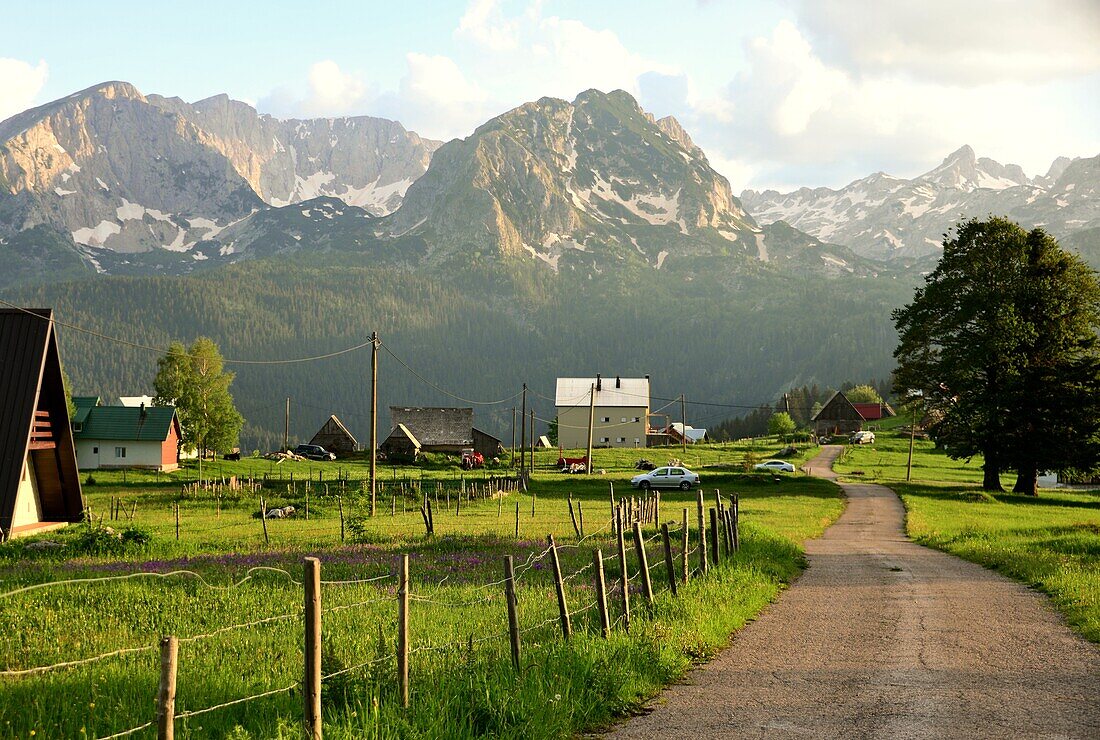 near Zabljak at Durmitor National Park, Montenegro