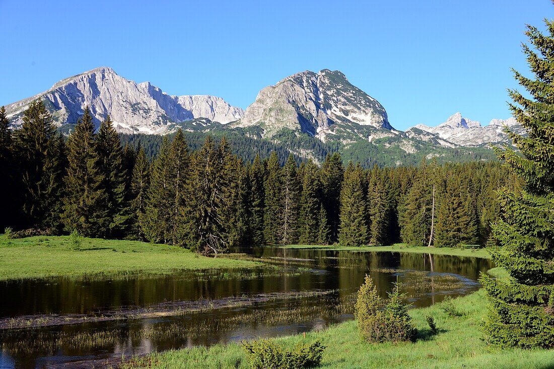 in the Durmitor National Park near Zabljak, Montenegro