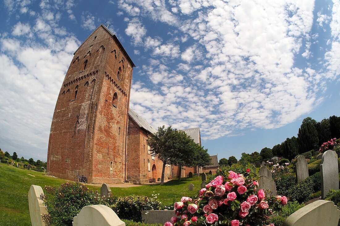 St. Johannis in Nieblum on the island of Foehr, Wadden Sea National Park, North Friesland, North Sea coast, Schleswig-Holstein