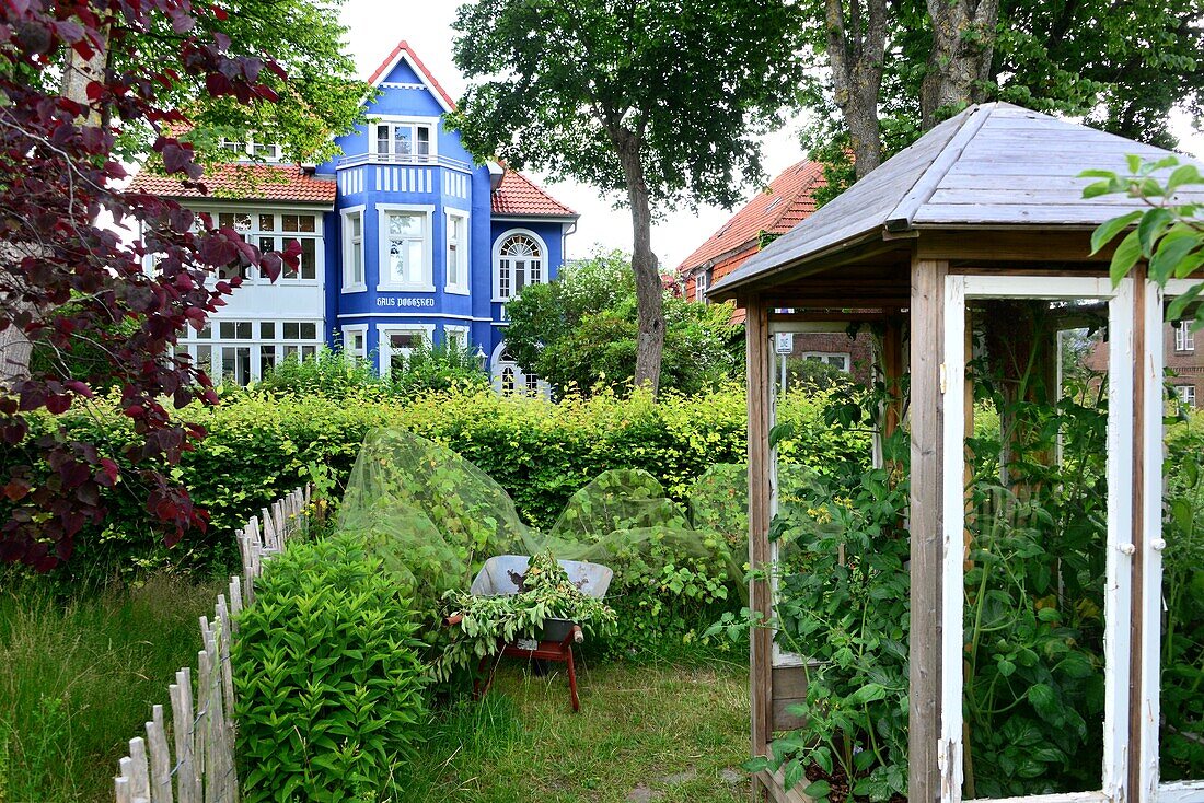 Park an der Mühle in Wyk auf der Insel Föhr, Nationalpark Wattenmeer, Nordfriesland, Nordseeküste, Schleswig-Holstein