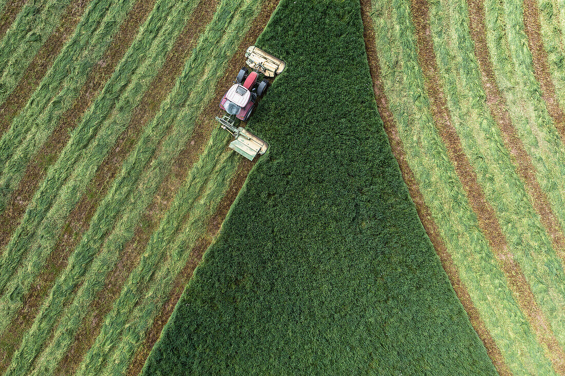 Aerial view tractor harvesting green hay crop, Auvergne, France
