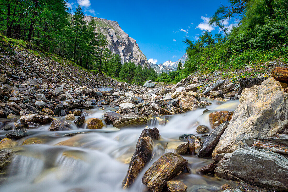 Wild romantic mountain stream in East Tyrol, Austria, Europe
