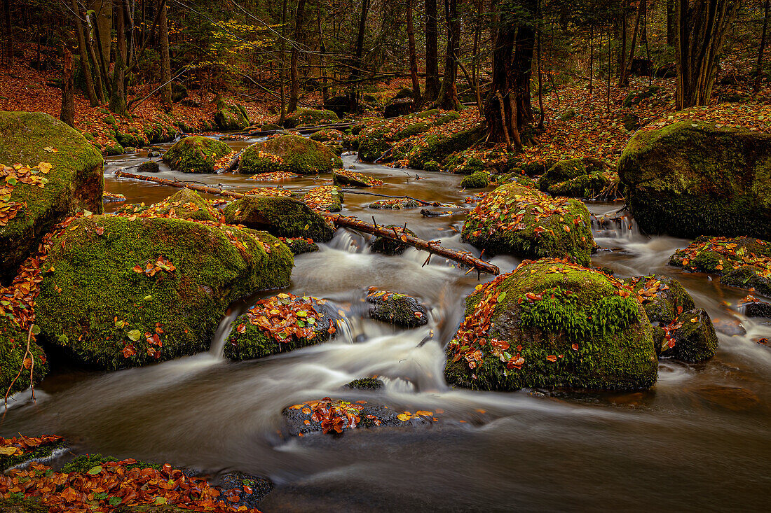 Autumn in the Höllbachtal, Rettenbach, Upper Palatinate, Bavarian Forest, Bavaria, Germany; Europe