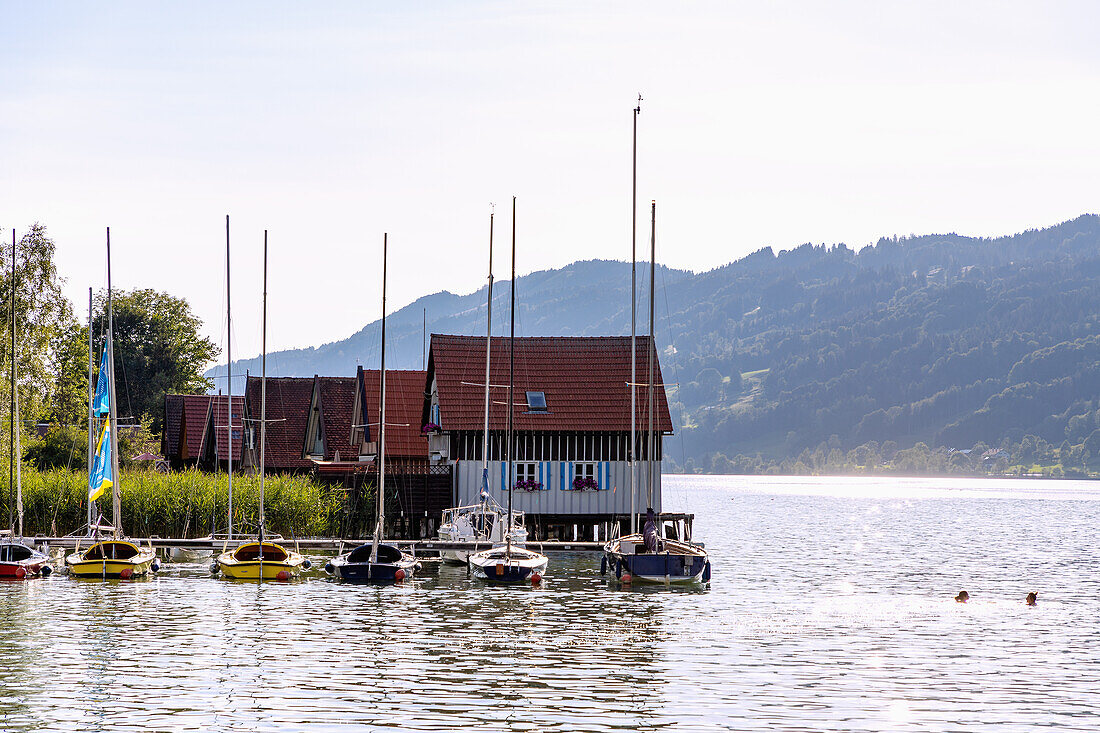 Boathouses at the Großer Alpsee at the Kurpark of Bühl am Alpsee in Oberallgäu in Bavaria in Germany