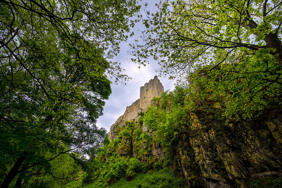 Below Weißenstein Castle, Lower Bavaria, Bavaria, Germany, Europe