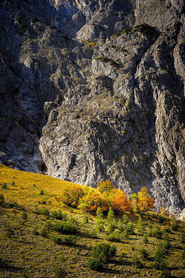 Autumn in the Lalidererbachtal, Hinterriss, Karwendel, Tirol, Austria