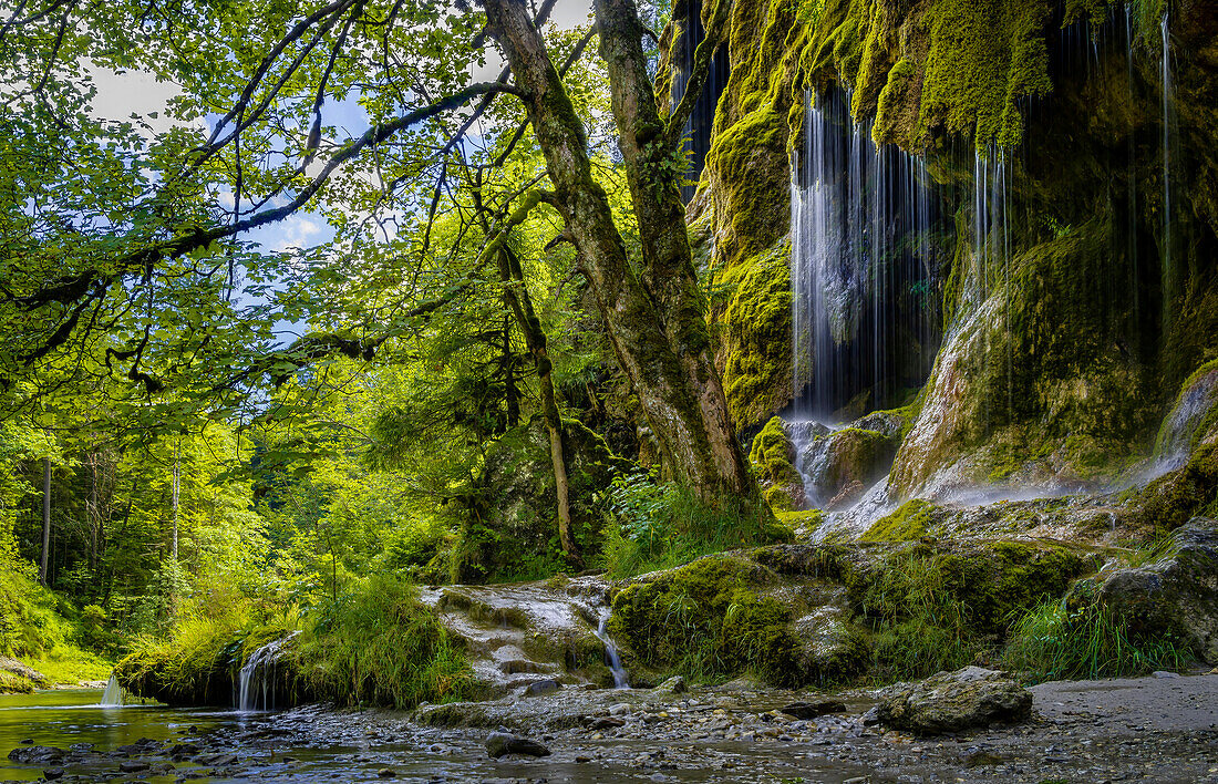 An den wildromantischen Schleierfällen in Ammerschlucht bei Saulgrub, Landkreis Garmisch-Partenkirchen, Bayerisches Voralpenland, Oberbayern, Bayern, Deutschland, Europa