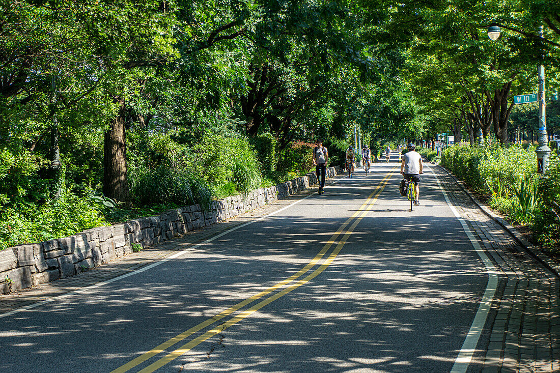 West Side Bicycle and Jogging Lanes, New York City, New York, USA