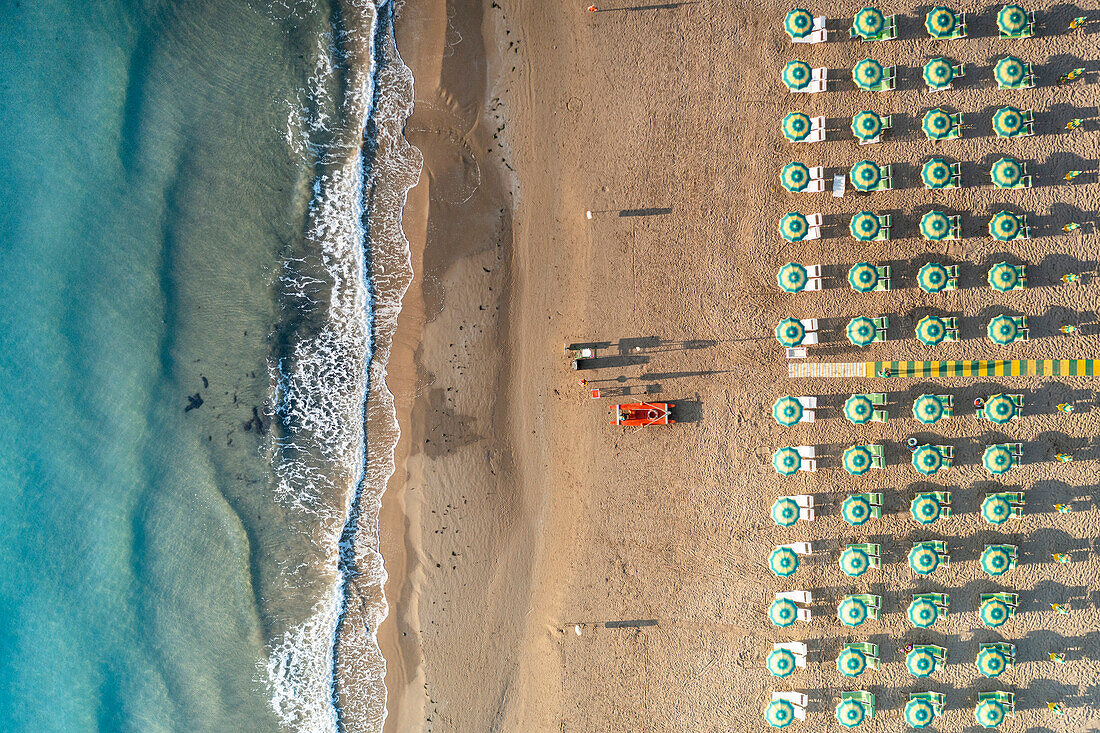 Aerial view of beach umbrellas and sunbeds in tidy rows during summer, Vieste, Foggia province, Gargano, Apulia, Italy, Europe
