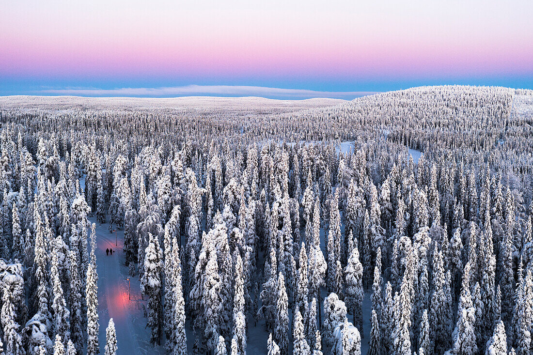 Luftaufnahme von zwei Wanderern, die im Morgengrauen im schneebedeckten Wald spazieren gehen, Iso-Syote, Lappland, Finnland, Europa