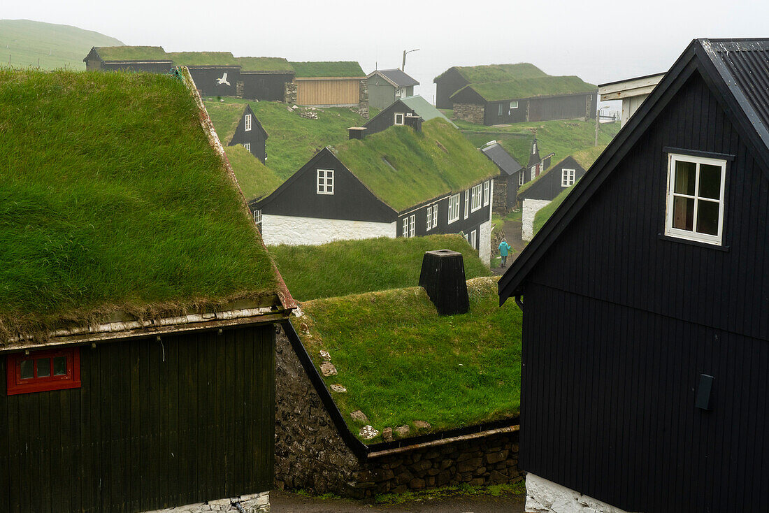 Häuser mit Rasendächern, Insel Mykines, Färöer, Dänemark, Europa