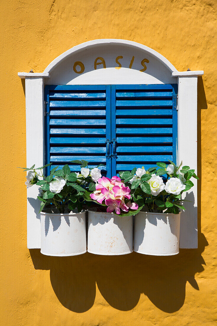 Flowers with blue shutters on house window, Emborio Harbor, Halki (Chalki) Island, Dodecanese Group, Greek Islands, Greece, Europe