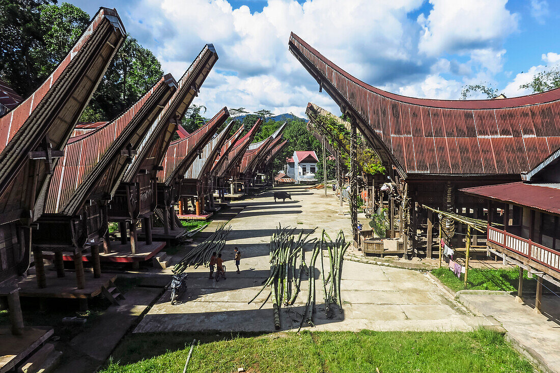 Tongkonan saddleback houses and rice barns inside family compound near Rantepao, La'bo, Rantepao, Toraja, South Sulawesi, Indonesia, Southeast Asia, Asia
