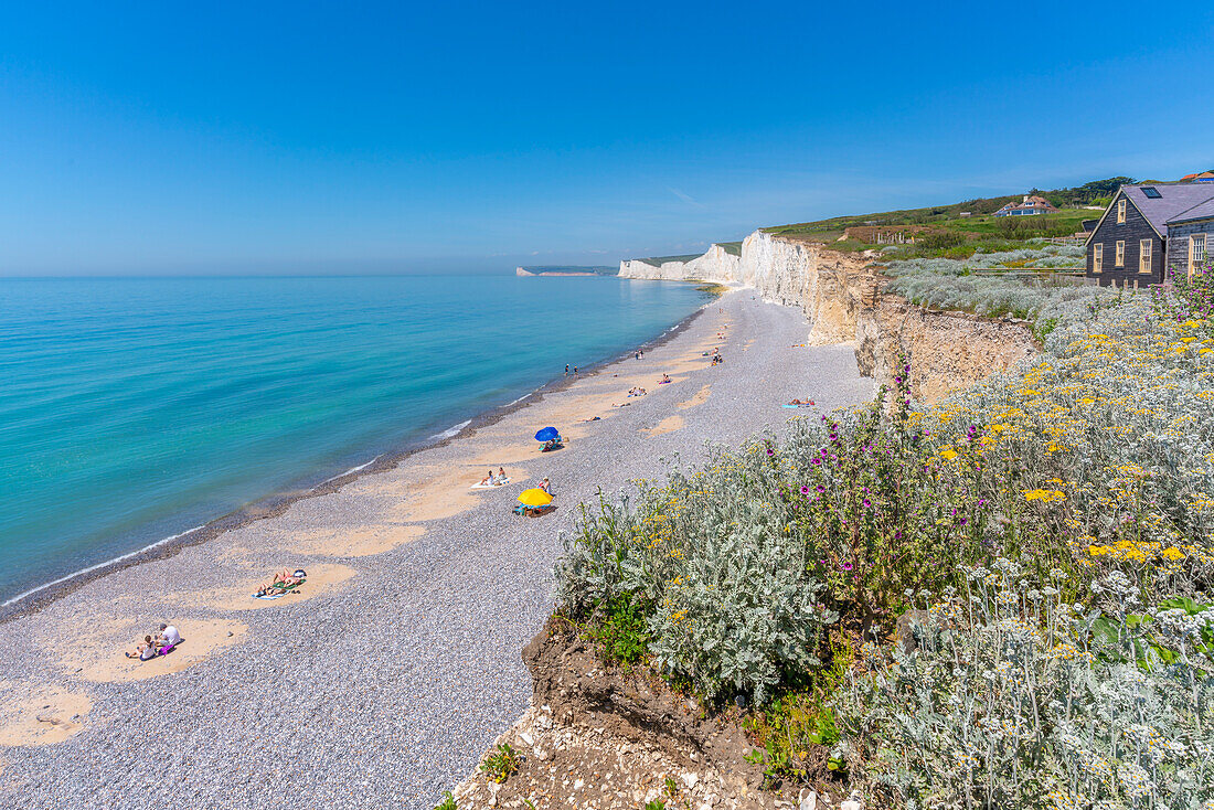 Blick auf sieben Schwestern Kreidefelsen von Birling Gap, South Downs National Park, in der Nähe von Eastbourne, East Sussex, England, Vereinigtes Königreich, Europa