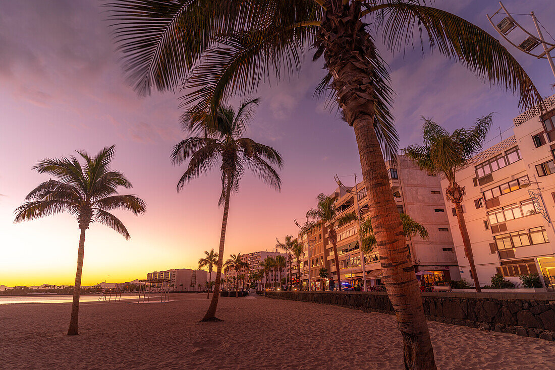 Blick auf Palmen am Playa del Reducto bei Sonnenuntergang, Arrecife, Lanzarote, Kanarische Inseln, Spanien, Atlantik, Europa
