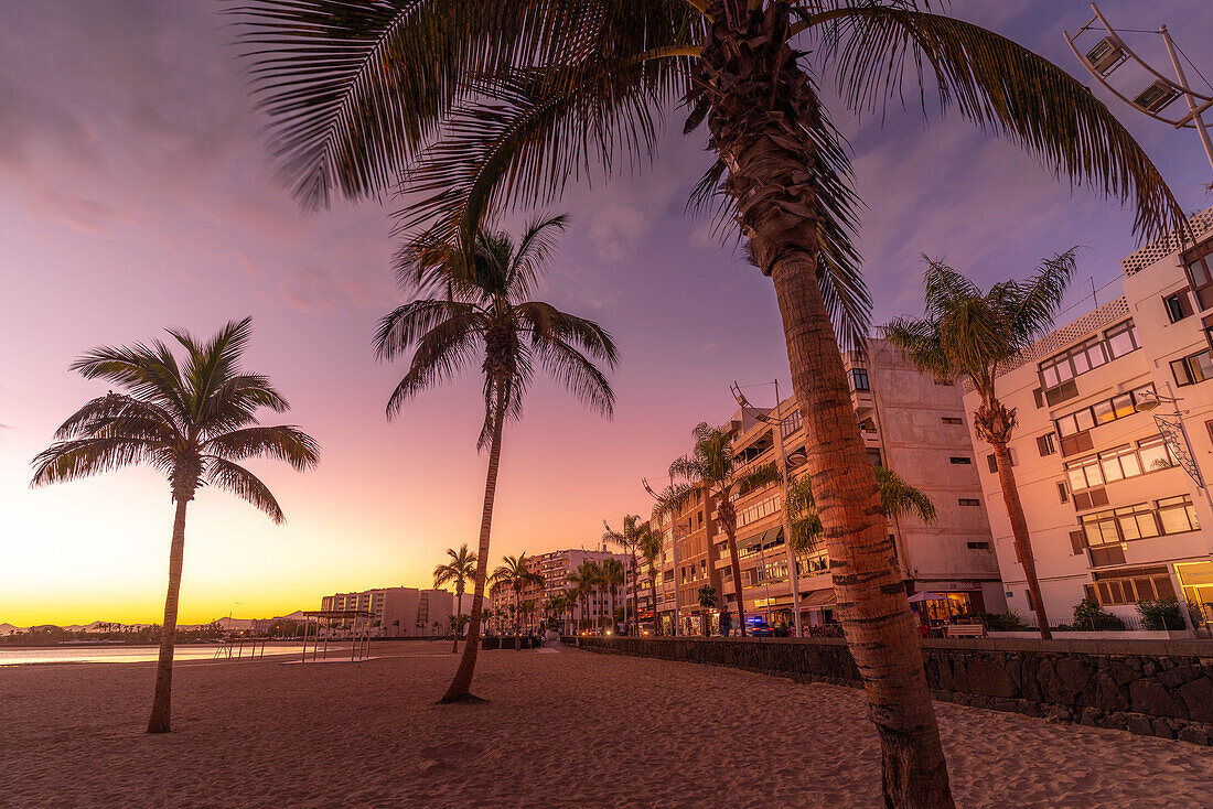 View of palm trees on Playa del Reducto at sunset, Arrecife, Lanzarote, Canary Islands, Spain, Atlantic, Europe