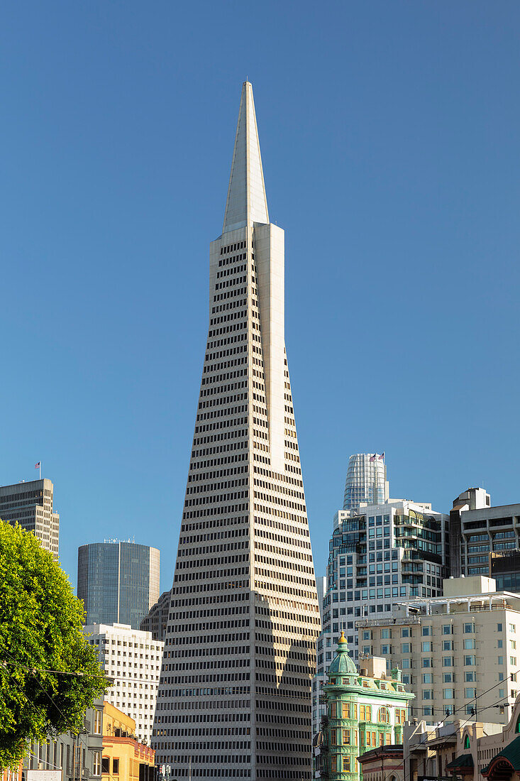 Transamerica Pyramid, Financial District, San Francisco, California, United States of America, North America