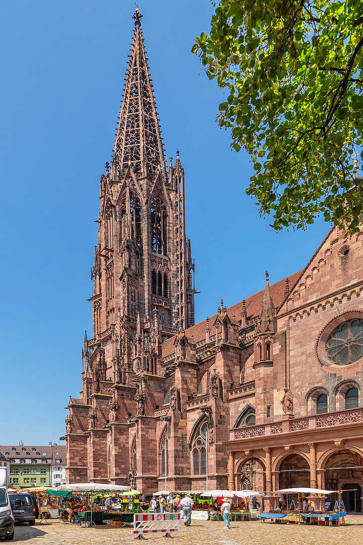 Markt am Münsterplatz Square, Dom, Freiburg, Schwarzwald, Baden-Württemberg, Deutschland, Europa