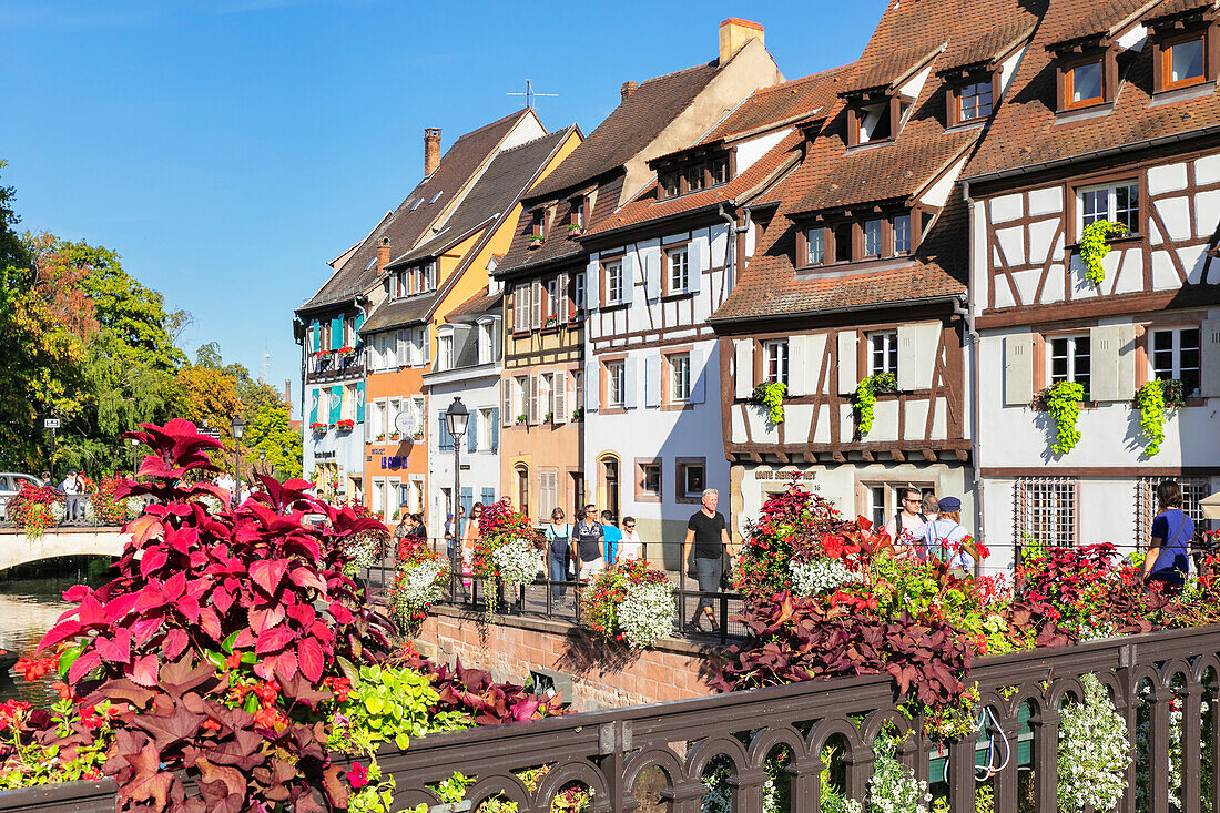 Petite Venise district, Colmar, Alsace, Haut-Rhin, France, Europe