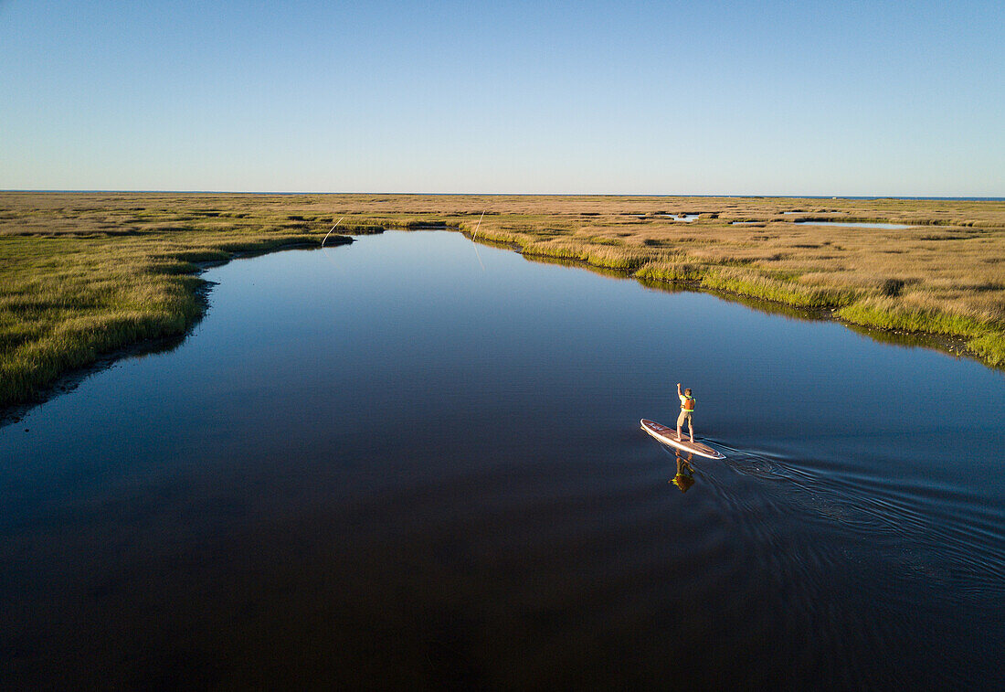 Stand Up Paddle Boarder Paddel durch eine Chesapeake Bay Salzwiesen in der Nähe von Hampton, Virginia, Vereinigte Staaten von Amerika, Nordamerika