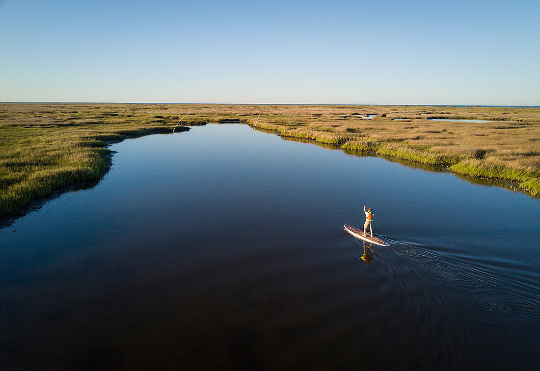 Stand up paddle boarder paddles through a Chesapeake Bay salt marsh near Hampton, Virginia, United States of America, North America