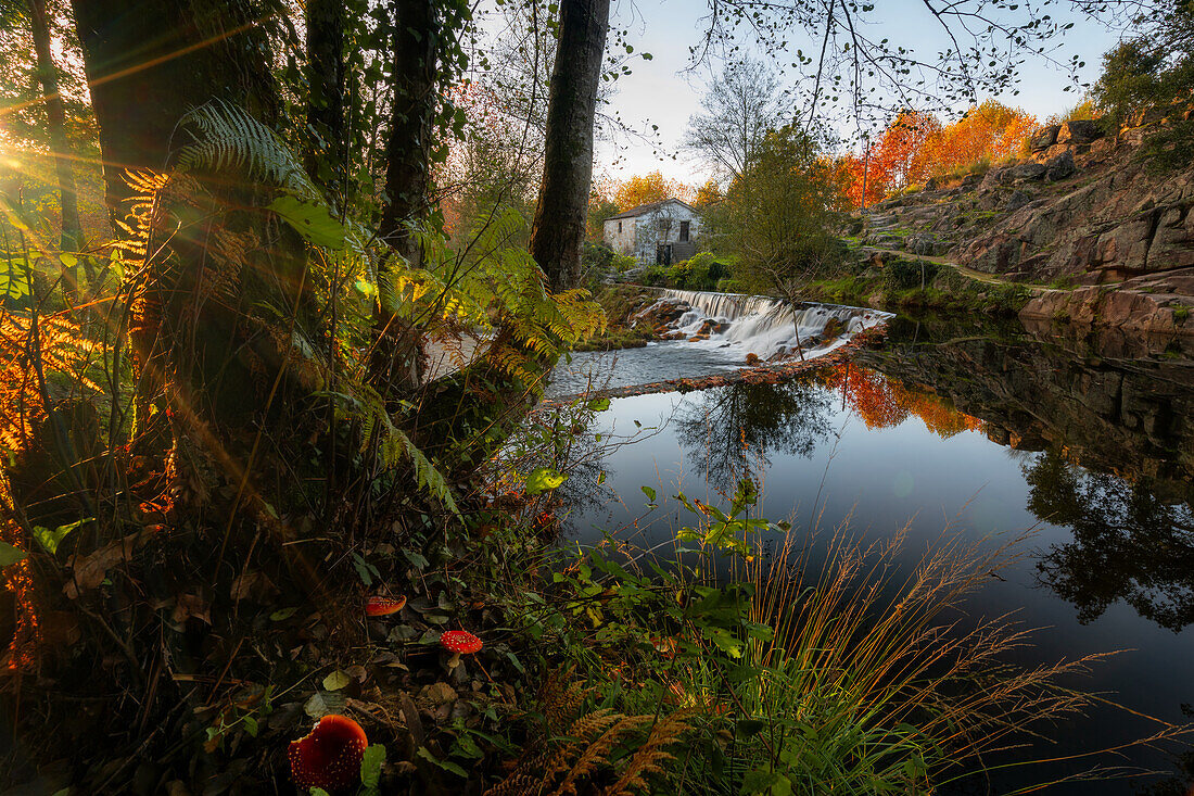 Natural landscape with red mushrooms with waterfall and water reflection at sunset in Mondim de Basto, Norte, Portugal, Europe