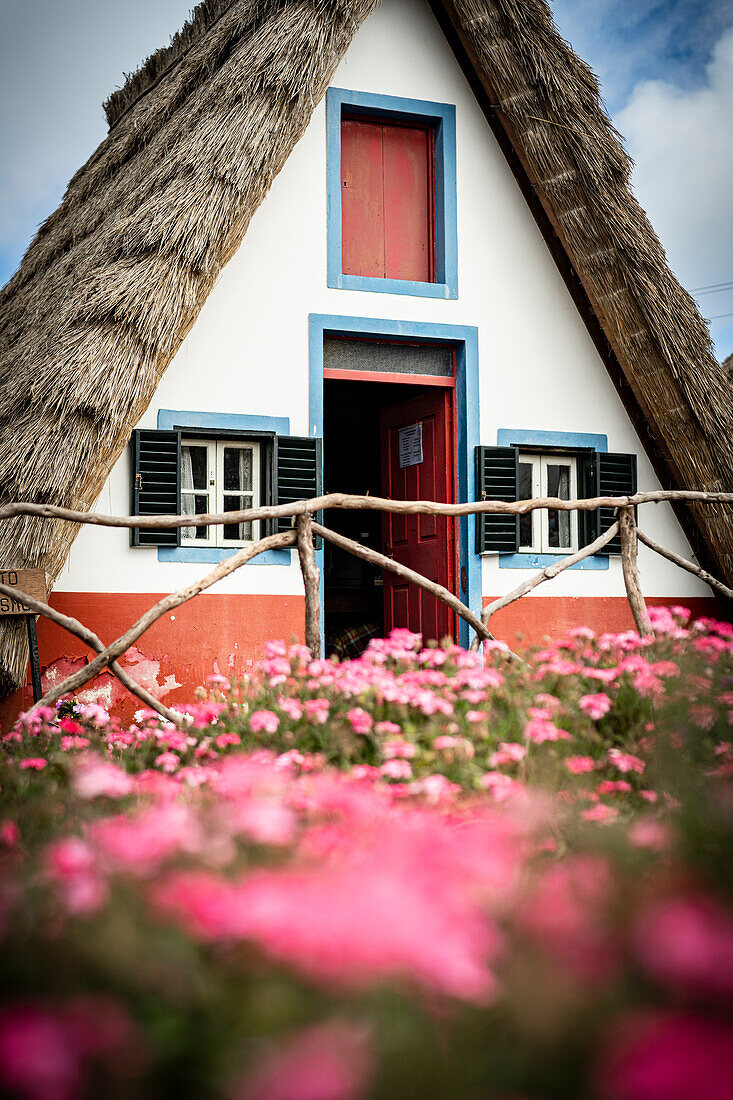Traditionelles strohgedecktes Haus in den blühenden Wiesen, Santana, Insel Madeira, Portugal, Atlantik, Europa