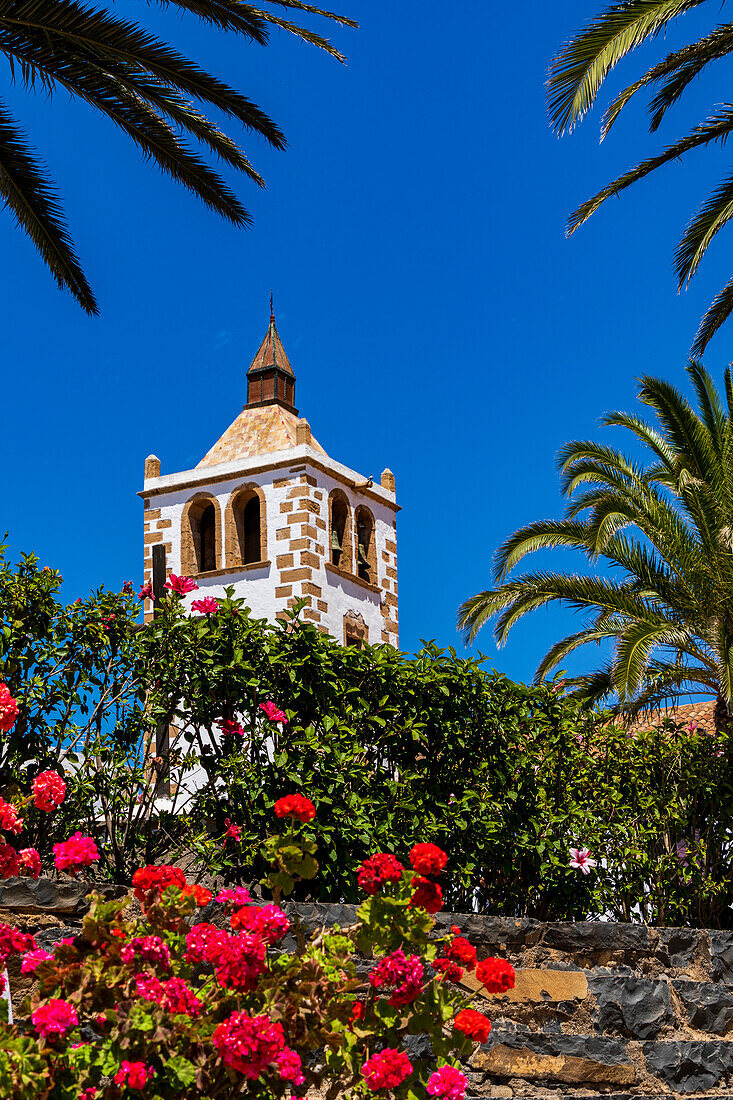 Bunte Blumen umrahmen den Kirchturm Santa Maria unter blauem Himmel, Betancuria, Fuerteventura, Kanarische Inseln, Spanien, Atlantik, Europa