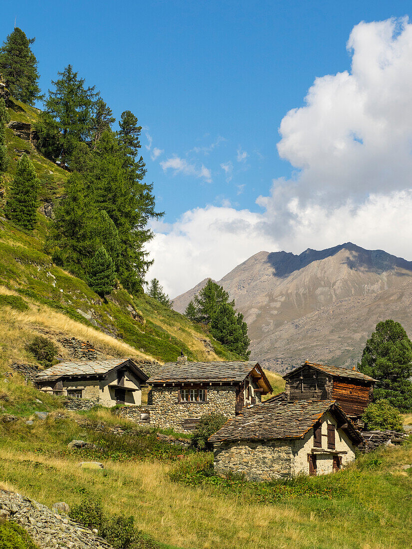 Schweiz, Zermatt, Zmutt, Häuser entlang der Strecke