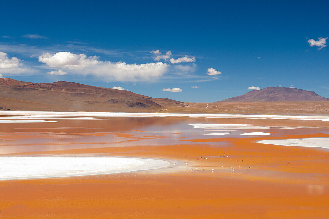 Bolivien, Atacama-Wüste, Laguna Colorada, Roter See. Der rote See ist flach und durch Algen und vulkanische Sedimente rot gefärbt.