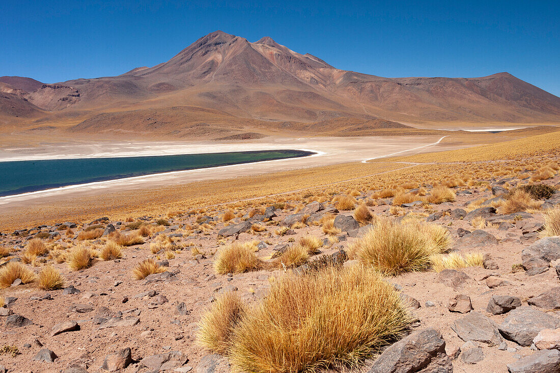 Chile, Region Antofagasta, Miniques, See Miscanti. Der Miscanti-See ist ein Brackwassersee, der tiefblau ist und sich im Nationalreservat Los Flamencos befindet.