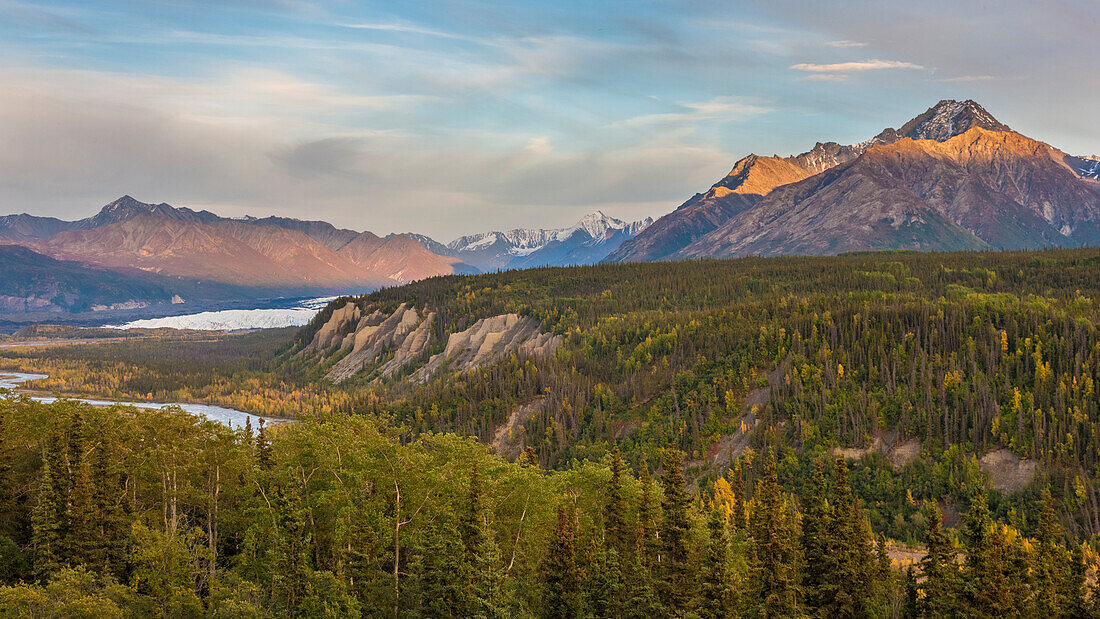 USA, Alaska. Fall colors in the Matanuska River Valley with the Matanuska Glacier in the background.