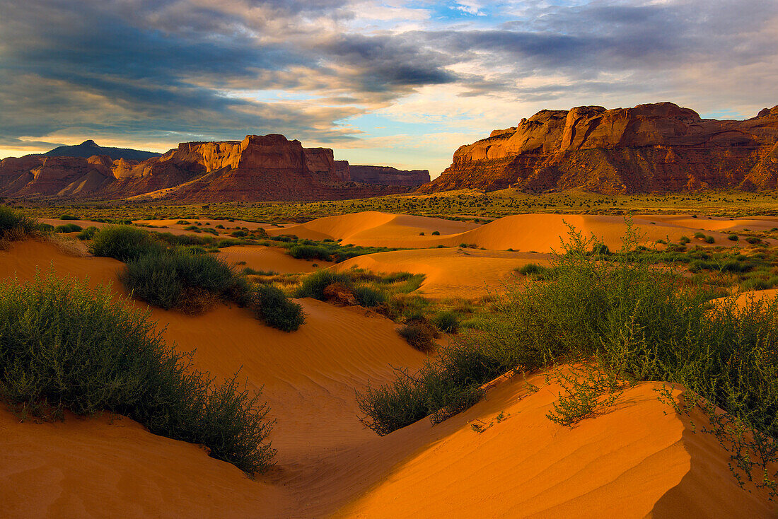 Sanddünen der Lukachukai-Wüste im Norden Arizonas