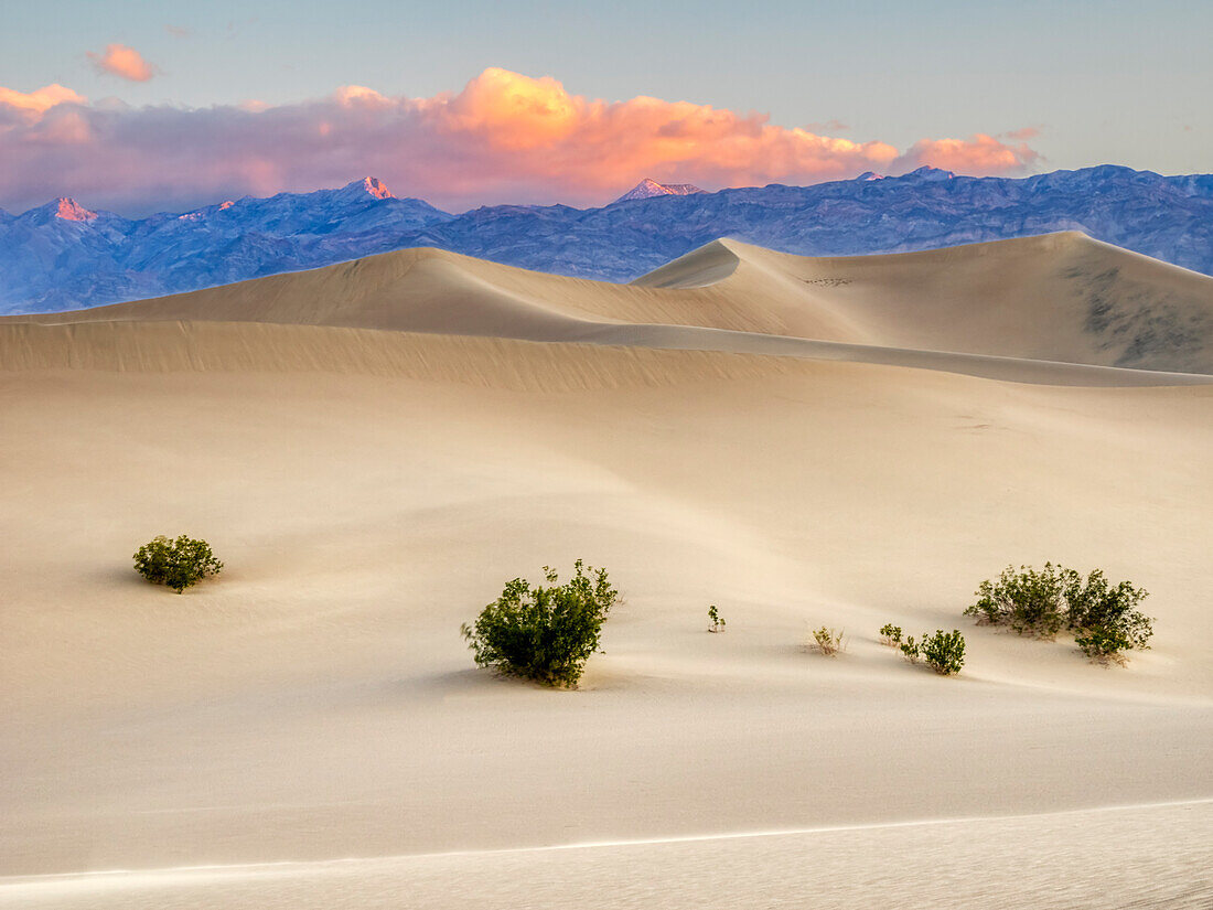 USA, Kalifornien. Death Valley Nationalpark, flache Sanddünen von Mesquite.