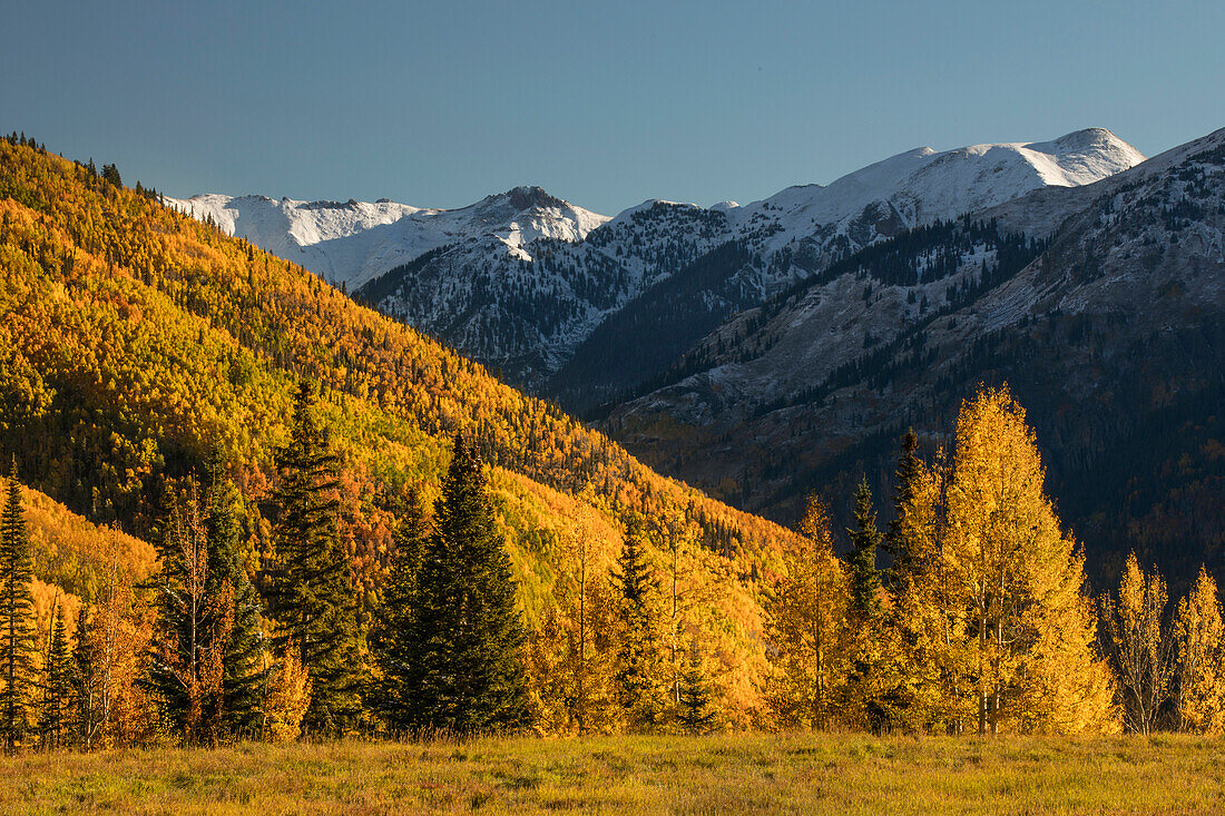 Autumn aspen trees on mountain slope from Million Dollar Highway near Crystal Lake, Ouray, Colorado