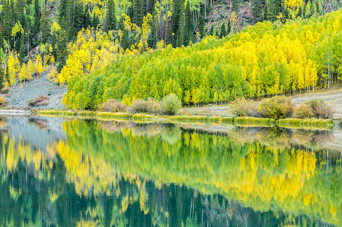 USA, Colorado, Gunnison National Forest. Forest reflections in lake