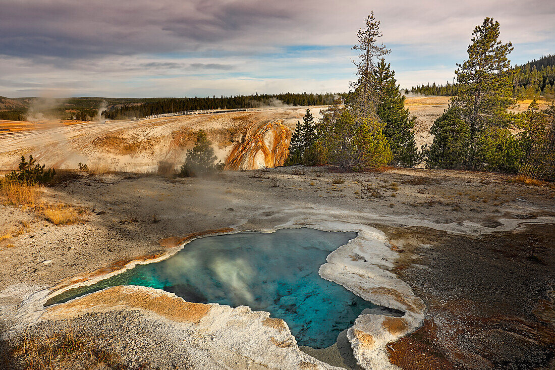 Star Spring at sunrise, Upper Geyser Basin, Yellowstone National Park, Montana, USA